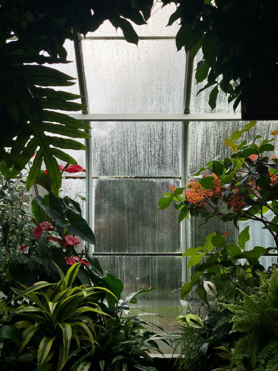 Sunroom Summer Cool