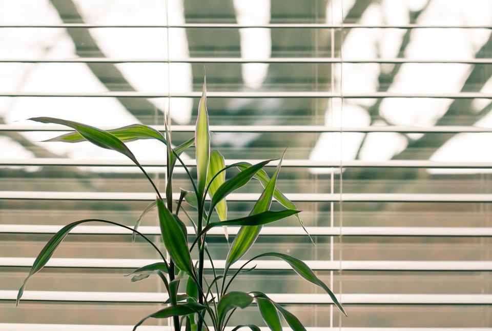 Sunroom Window Blinds