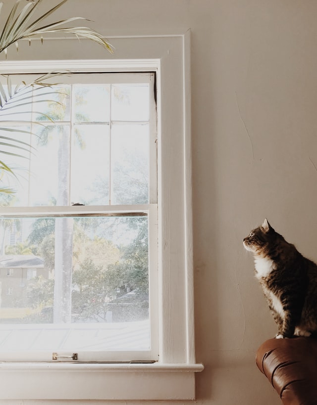 replacement windows