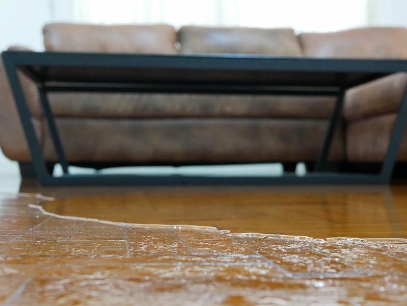 How to Reduce Your House's Risk of Suffering Flood Damage
