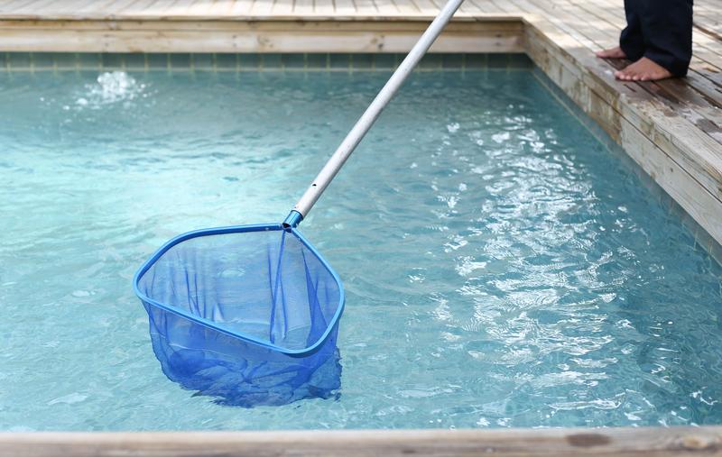 Pool Maintenance Tips for Your Florida Pool