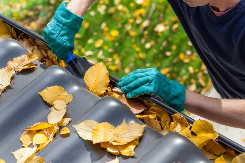 Don’t Ignore These Signs That Your Gutters Need Cleaning