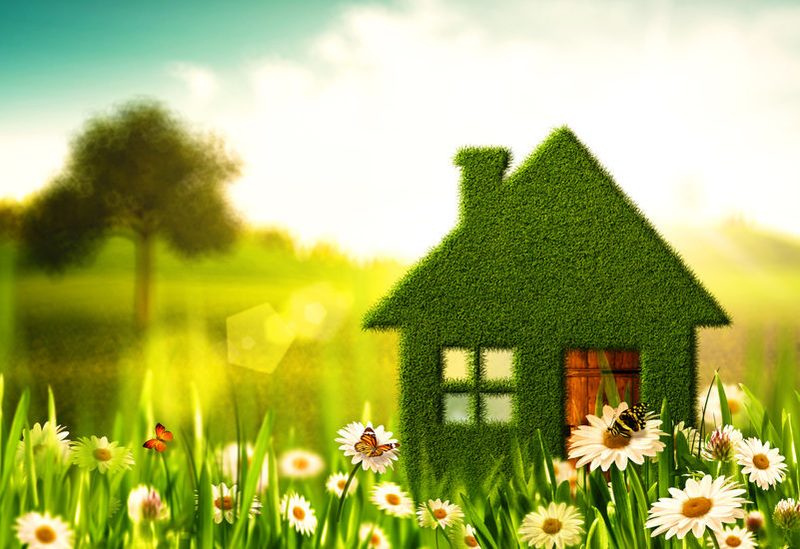 7 Key Elements and Characteristics of Healthy Homes