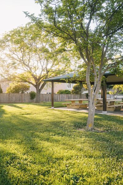 Backyard Bliss: How to Uncover the Perfect Material for Your Dream Space